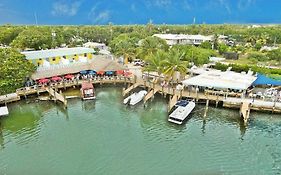 Snappers Key Largo
